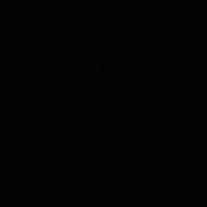 Meet your Posher, Joey